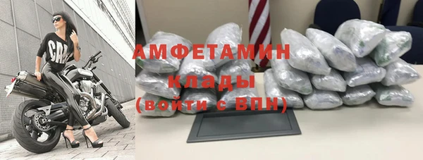 гашиш Богданович