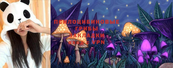 гашиш Богданович